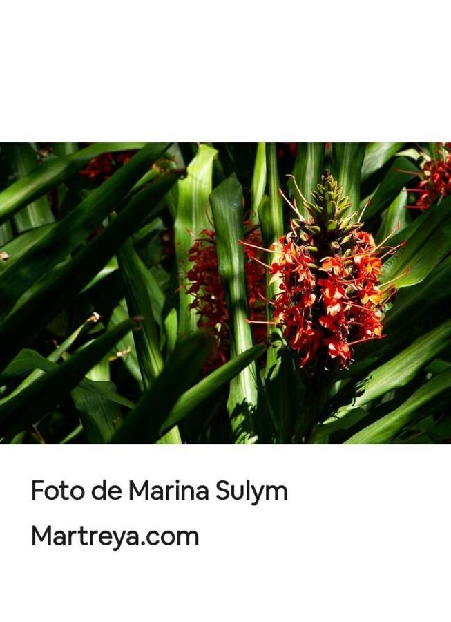 Apartamento Jardín de Naipí Puerto Iguazú Exterior foto